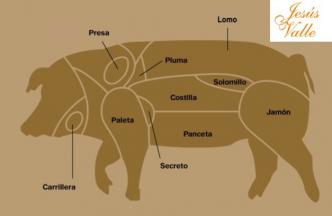 Dónde se encuentra cada uno de los productos en el cerdo Definiciones: